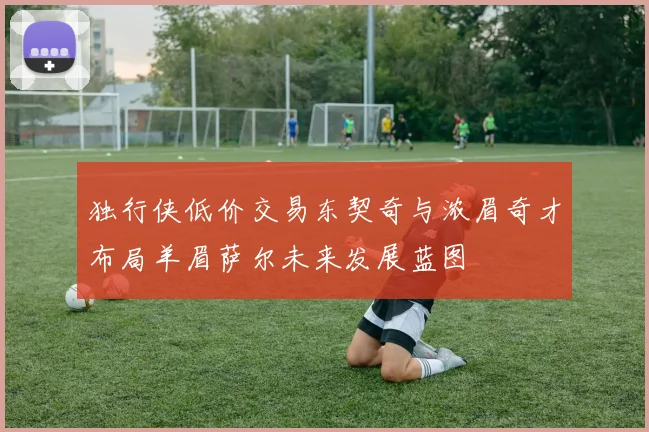 独行侠低价交易东契奇与浓眉奇才布局羊眉萨尔未来发展蓝图