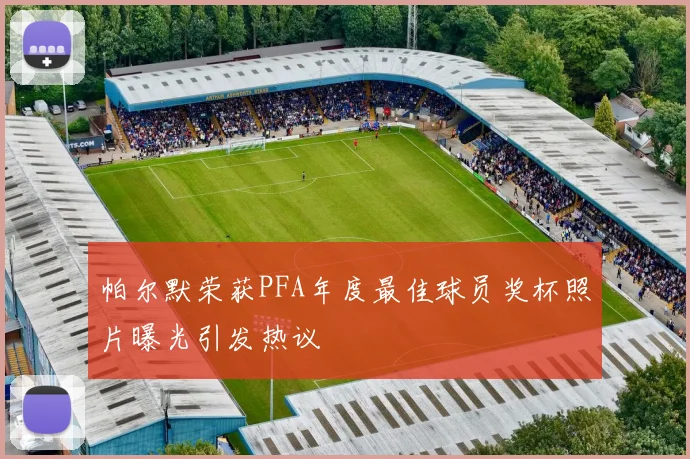 帕尔默荣获PFA年度最佳球员奖杯照片曝光引发热议
