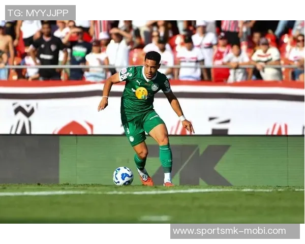 巴甲球员身价排行榜揭晓罗克以3500万欧元领跑拉扬紧随其后 巴甲球员身价排行榜揭晓罗克以3500万欧元领跑拉扬紧随其后